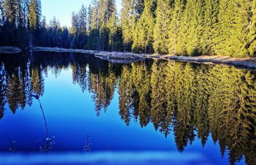 Sternstube – Appartement mit traumhaftem Weitblick - Foto 19