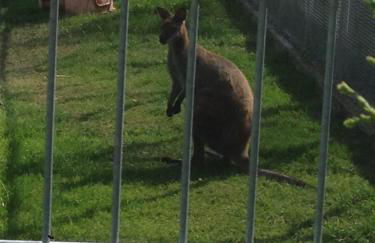 Ferienhaus Charme - Foto 6