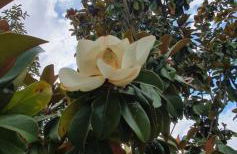 Finca y Casa Rural Los Huertos - Foto 49