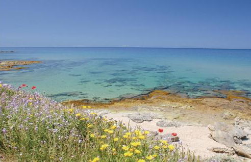 Il Panorama - Foto 5