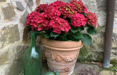 Vrijstaand vakantiehuis La Piccigliana - 6 personen - Foto 34