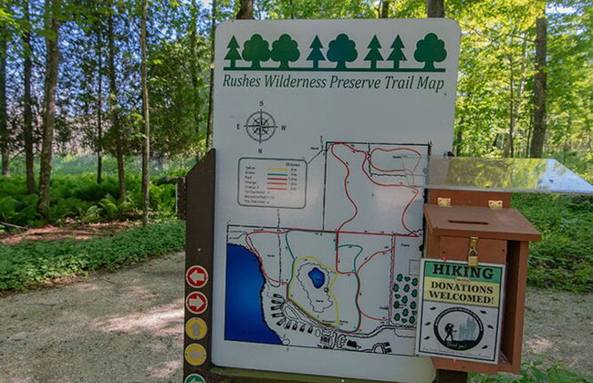 The Rushes - Foto 59