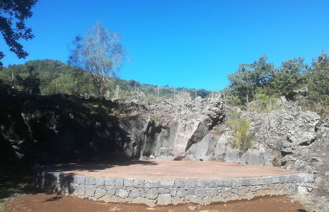 Viola nel Parco - Foto 52