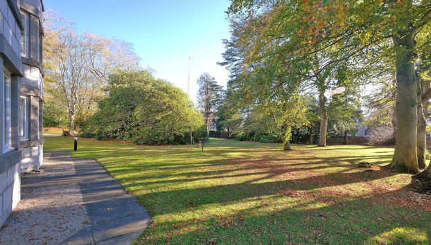 Orange Apartments Beechgrove - Foto 2, Habitación