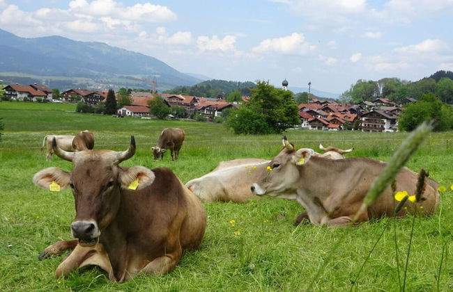 Holiday Apartment Rubihorn - Photo 10