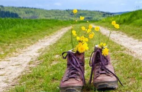 Apartment in Volksdorf mit Großer Terrasse by Interhome - Photo 28