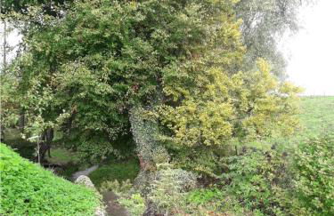 Relax in a 1 Bedroom Apartment near a country Pub - Foto 24