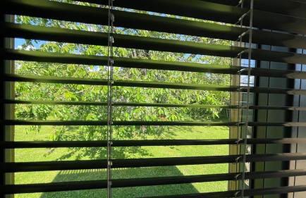 Greenkub Serenity - Photo 17