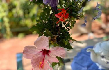 Splendida Villa immersa nella natura - Villa Salina Trabia - Foto 14