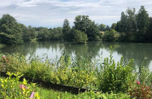 Ferienhaus mit Wintergarten am See (Angelparadies) - Foto 8