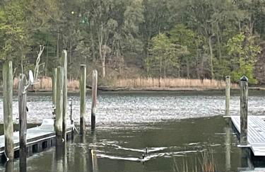 Luxury Suite with water view - 2 mini bedrooms - Foto 14