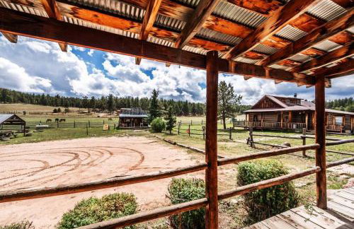 New! Charming cozy Cabin Colorado National Forest - Foto 13