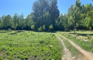 La casita del pueblo - Foto 46