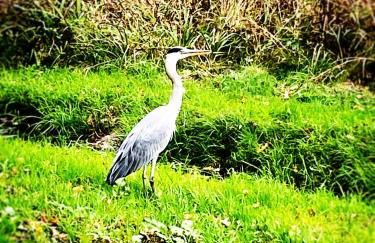 Ferienwohnung Haseltal - Foto 17