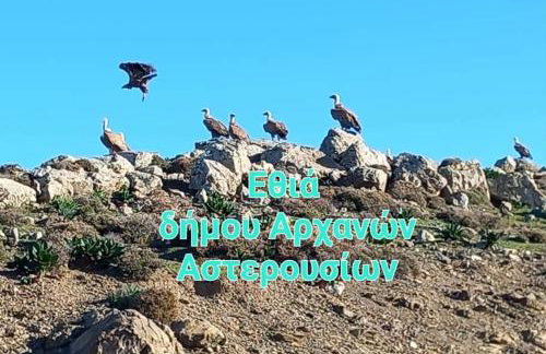 Εθιά Παραδοσιακή πετρόχτιστη οικία Ethia Traditional house of stone - Foto 26