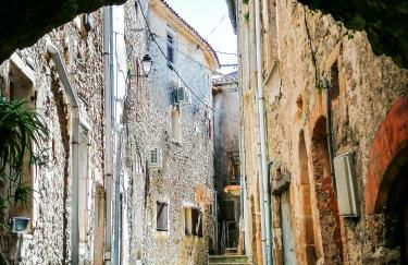 Les Cezennes - Foto 53