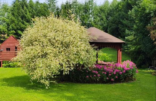 Agrokrysia - Foto 34