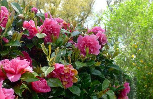 Beautiful Pilley Green Cottage - Foto 17