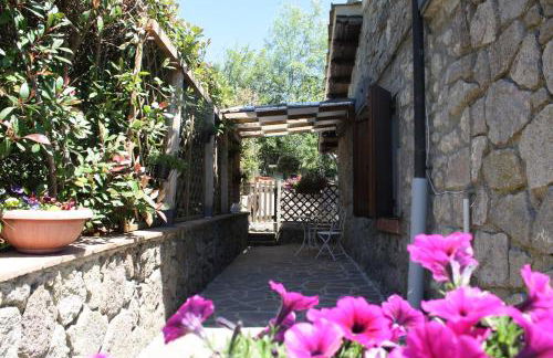 Agriturismo Biagiotti - Foto 47