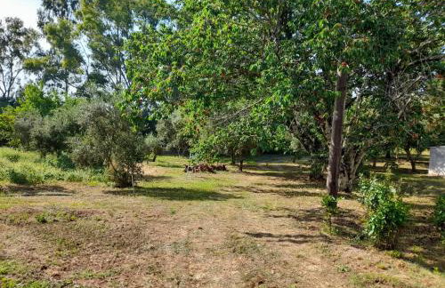 Lemontree Apartments - Foto 69