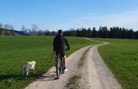 StayZen Holz & Hirsch Deluxe Hideaway zentral mit Parkplatz - Foto 48