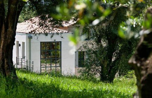 Domaine de Bramafam - Foto 10