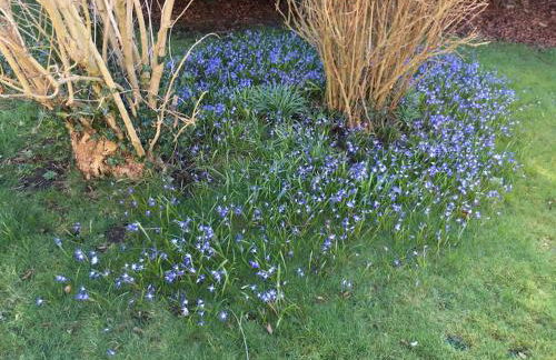 Swinton Manse & Gardens - Foto 9