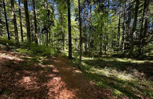 HAUS AM SEE - Natur Pur - Foto 3