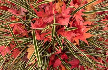 The Annexe @Granny’s Apple Lodge - Foto 21