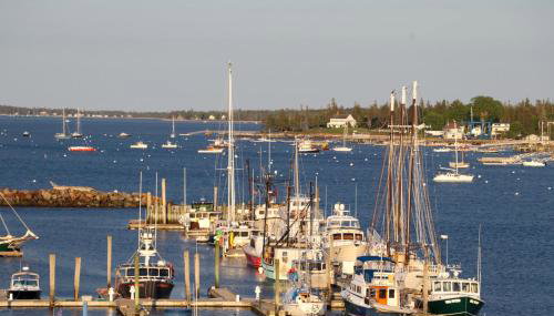 Secluded Bungalow Near Acadia and Bar Harbor -Private, Pet Friendly, Fire Pit - Foto 5