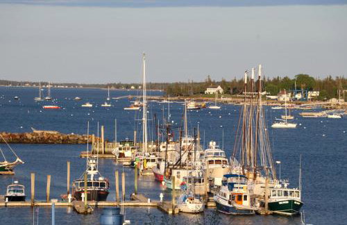 Secluded Bungalow Near Acadia and Bar Harbor -Private, Pet Friendly, Fire Pit - Foto 5