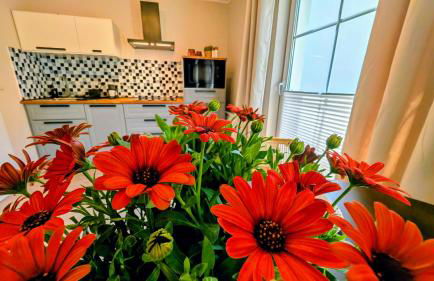 Lychen-Daheim, 2-Zimmer-Apartment im Herzen von Lychen - Photo 6