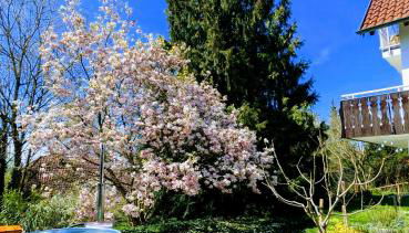 Ruhestifter-Salem mit Aromasauna und Hot Tub bis zu 10 Personen - Foto 2, Garden