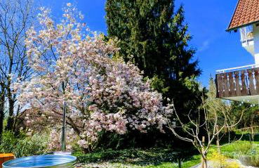 Ruhestifter-Salem mit Aromasauna und Hot Tub bis zu 10 Personen - Photo 2