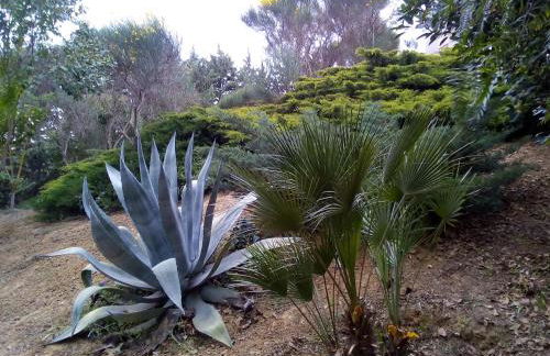 Stria House - Foto 39