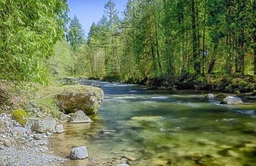 Dream Catcher Cabin - Meredith Lodging - Foto 23
