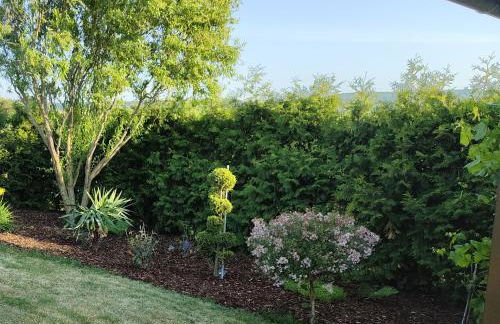 Mariolas Tinyhouse - Foto 33