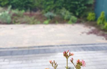 Apartament Podmiejska Stargard - Foto 4