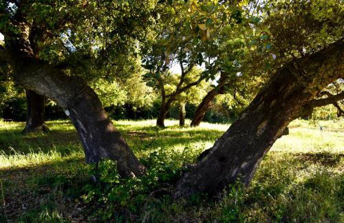 Casa Campione - Foto 7