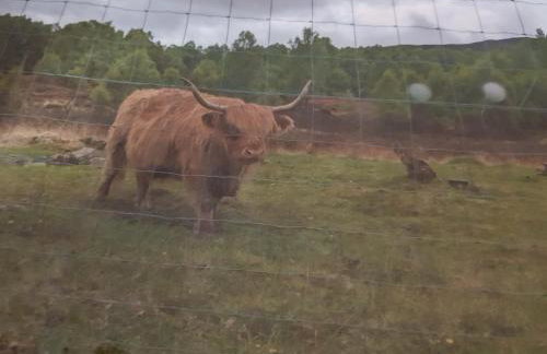 Studio cottage - Foto 11