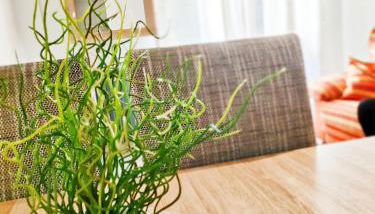 Estrella Polar - Foto 5