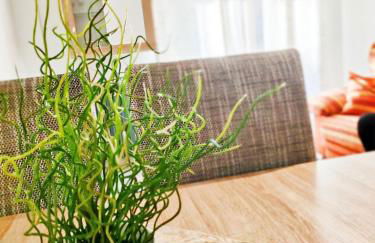 Estrella Polar - Foto 5