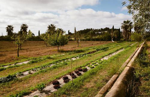 Hotel Rural Xereca - Foto 100