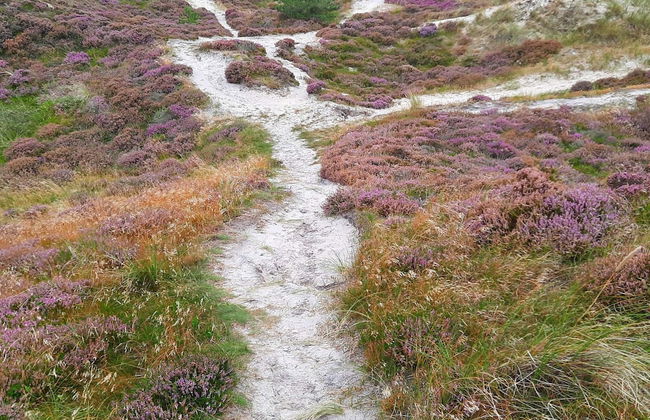 Beachfront Bungalow Bliss - By Traum Ferienwohnungen - Foto 7