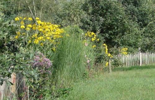 Holiday Home Haus Hartriegel im Bispinger Heidezauber by Interhome - Foto 36