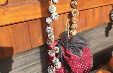 Chalet le logis des autre - Foto 5