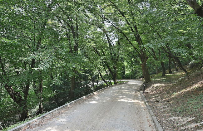 The Groom Home With Pool - Foto 20