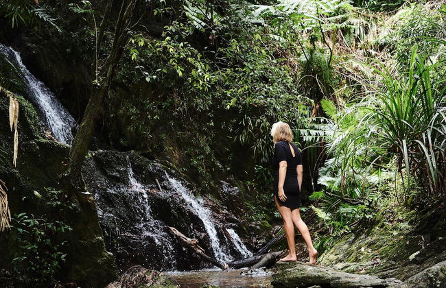 Daintree Ecolodge - Photo 27