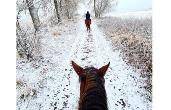 Czereśniowy Dom - Foto 40