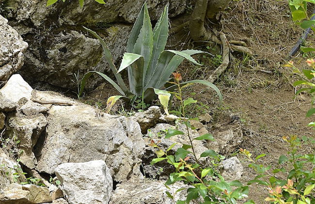 Agriturismo Cornali - Foto 59